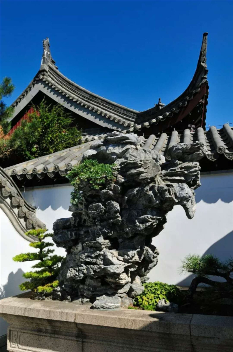 1548780625271964.jpg mmexport1512202367199.jpg