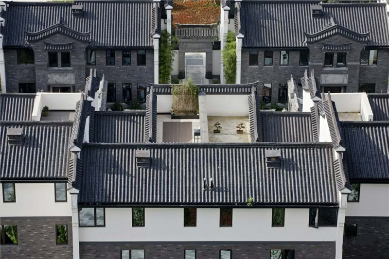 1548780659280645.jpg mmexport1512202379450.jpg